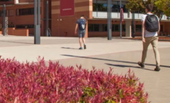 梅西大学的结业生正在农业、贸易、工程等范畴